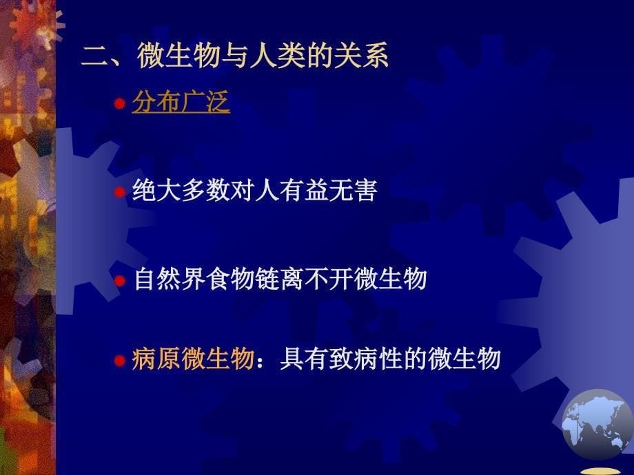 01绪论1h微生物性状6h_第5页