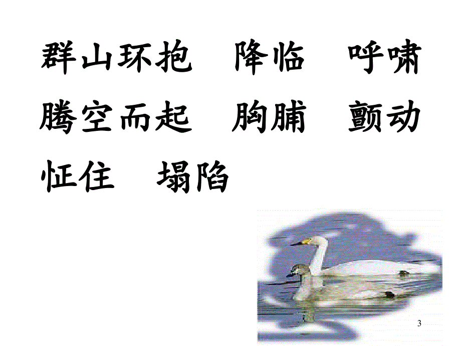 北师大版七上天鹅的故事ppt课件_第3页