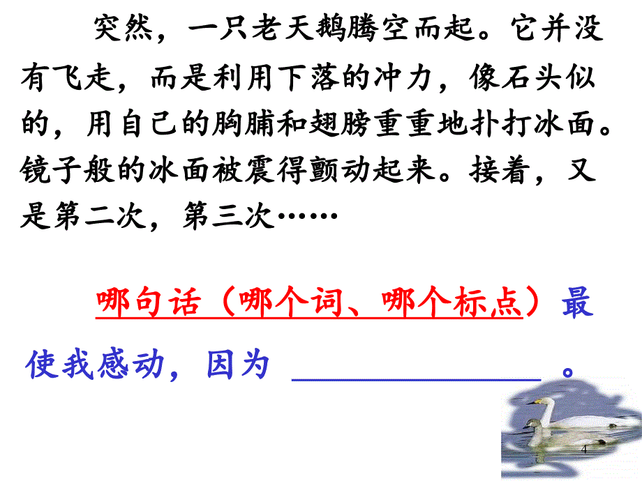 北师大版七上天鹅的故事ppt课件_第4页