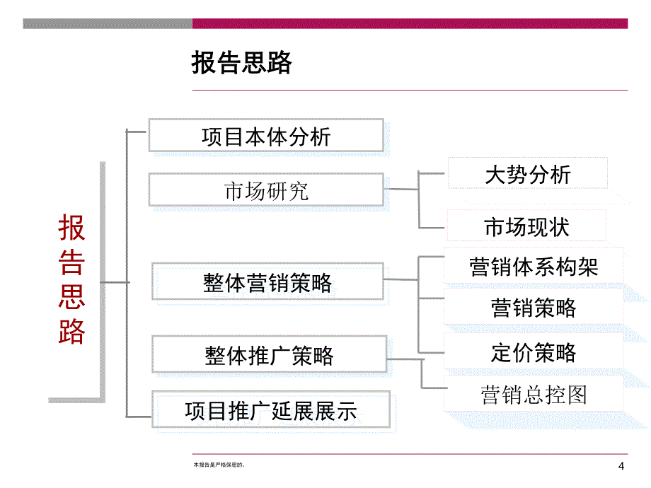 西安高新VV时代营销执行报告_第4页