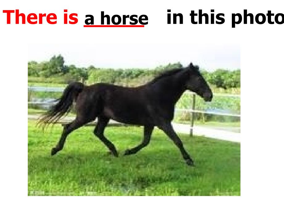 外研版三起四上Modul 7Unit 1 There is a horse in this photoppt课件3_第3页