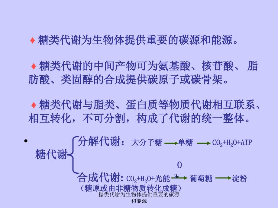 糖类代谢为生物体提供重要的碳源和能源课件_第2页