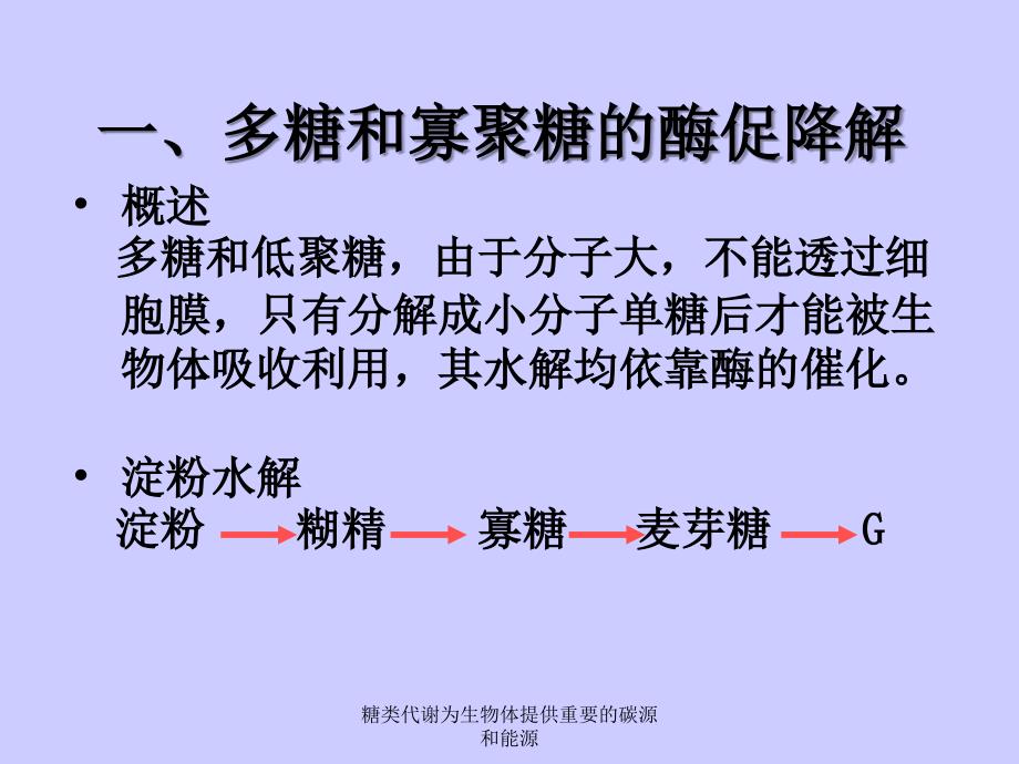 糖类代谢为生物体提供重要的碳源和能源课件_第4页