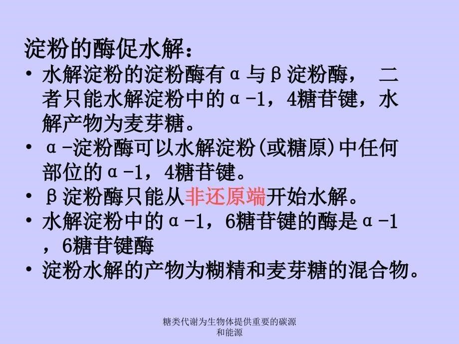 糖类代谢为生物体提供重要的碳源和能源课件_第5页