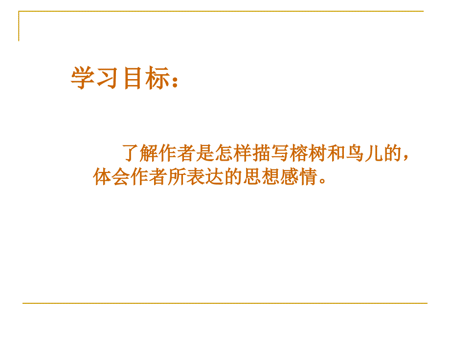 沪江网鸟的天堂课件101820251645720_第2页