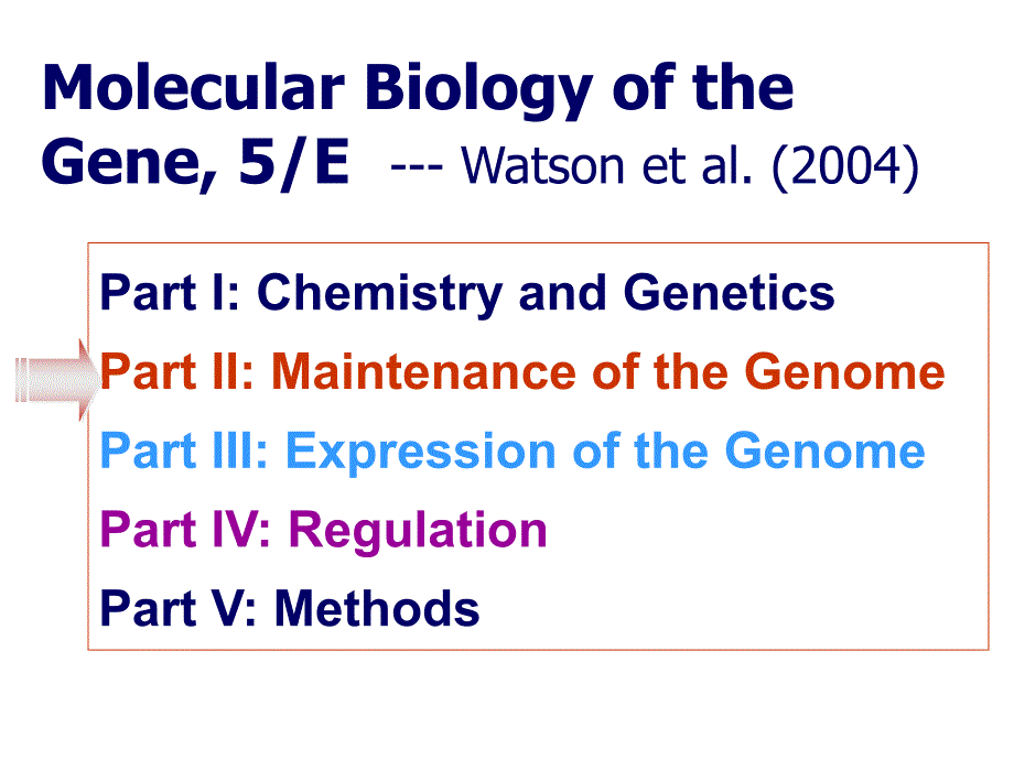 分子生物学(杨洋)第三章-dna的复制-thereplicationofdna_第2页