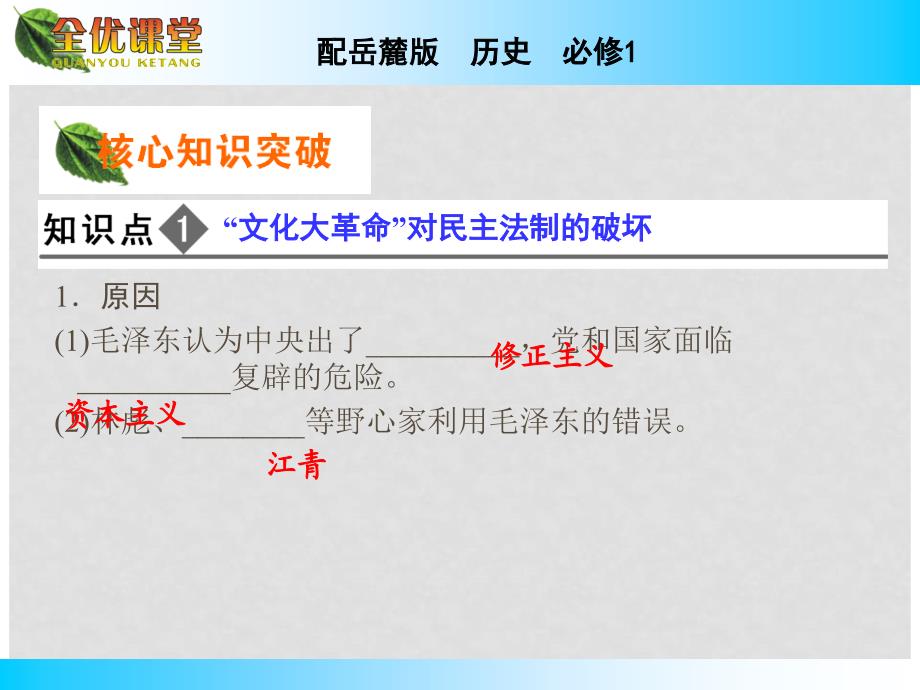 高中历史 第22课社会主义政治建设的曲折发展课件 岳麓版必修1_第3页