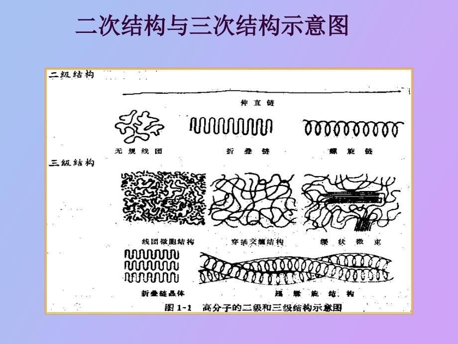 高分子链的结构_第5页