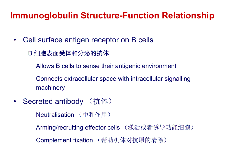 免疫球蛋白的结构与功能的关系_第3页