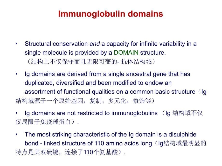 免疫球蛋白的结构与功能的关系_第5页