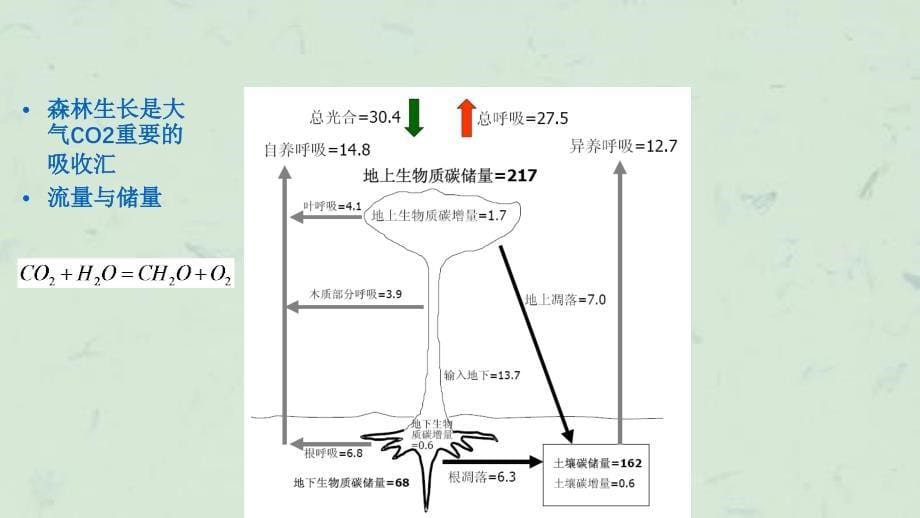 土地利用土地利用变化和林业碳计量方法课件_第5页