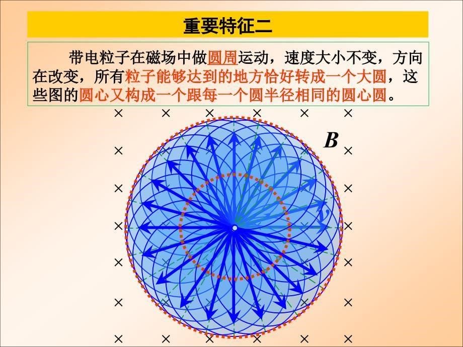 研究带电粒子在匀强磁场中的运动_第5页