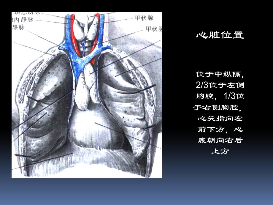 心脏疾病的超声诊断_第3页