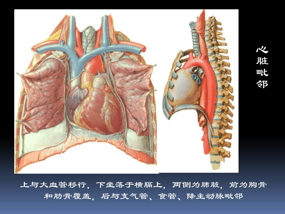 心脏疾病的超声诊断_第4页