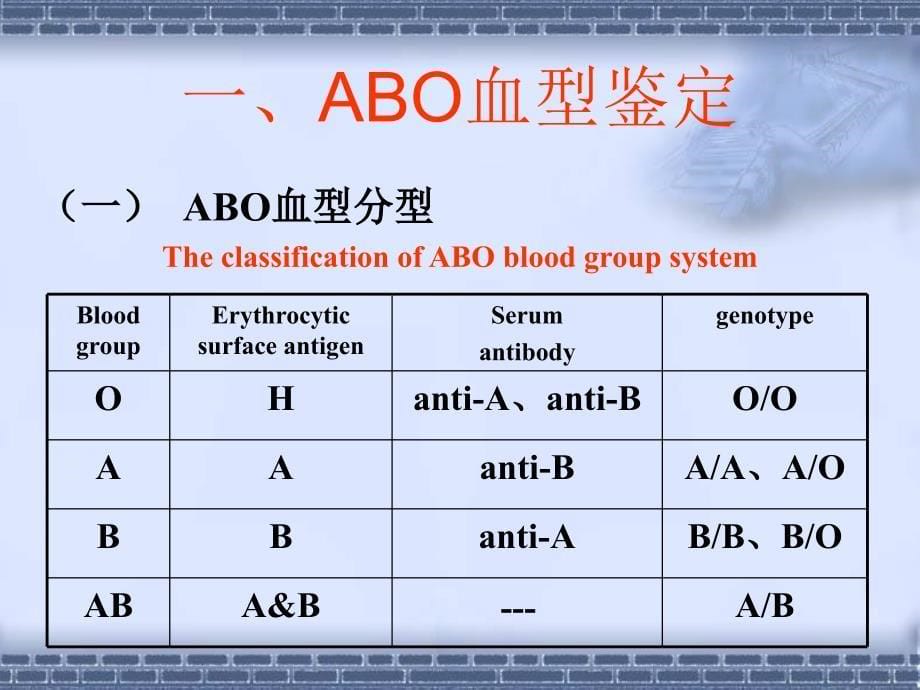 血型鉴定与交叉配血试验_第5页