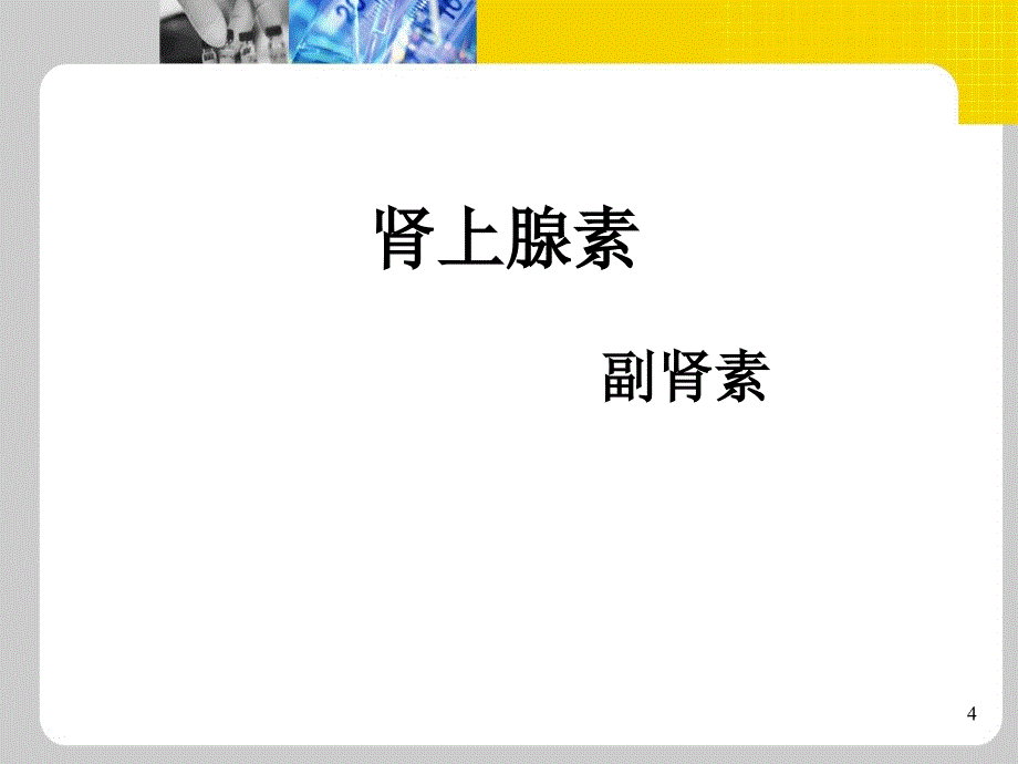 肾上腺素PPT演示课件_第4页