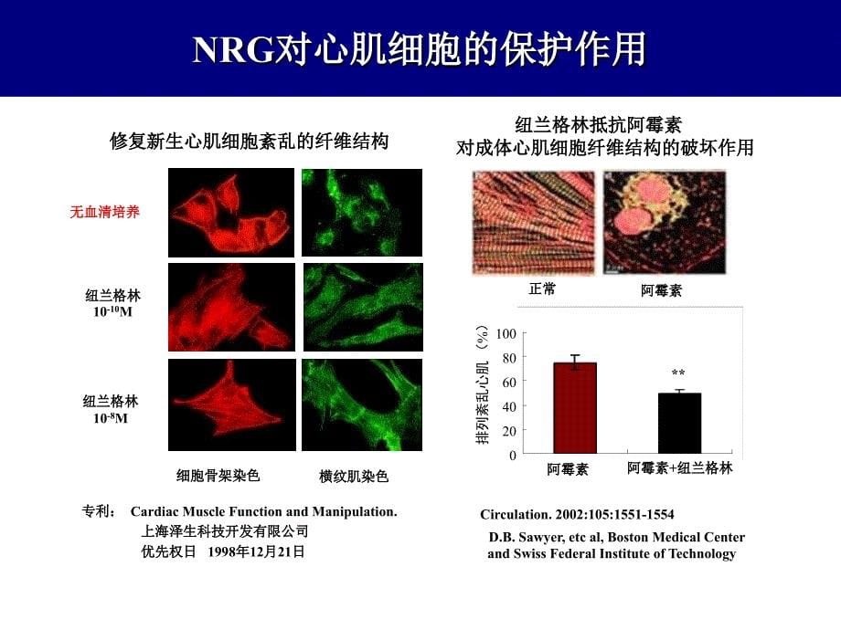 重组人纽兰格林ii期临床试验张健.ppt_第5页