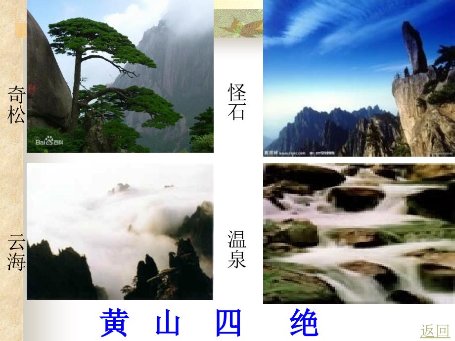 黄山奇松教学课件.ppt_第2页