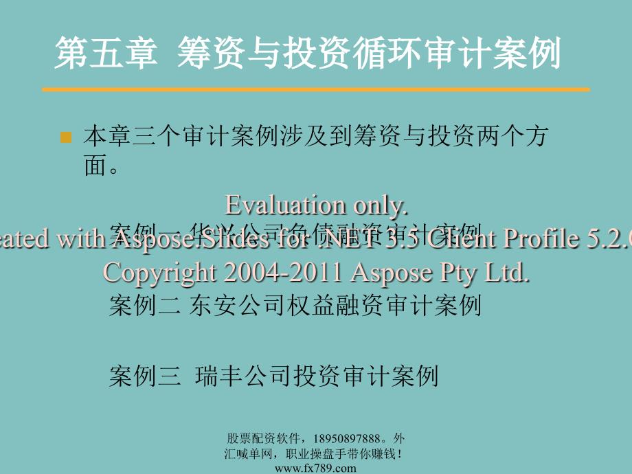 简体筹资与投资环循审计案例.ppt_第1页