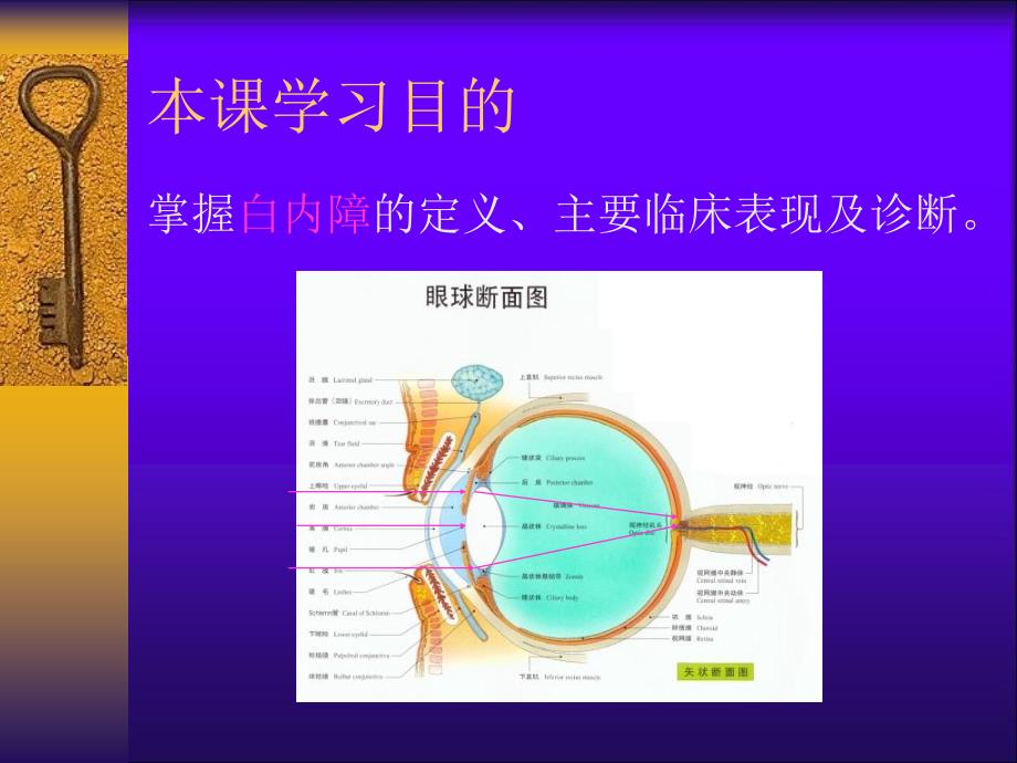 《眼科学晶体病医学》PPT课件.ppt_第2页