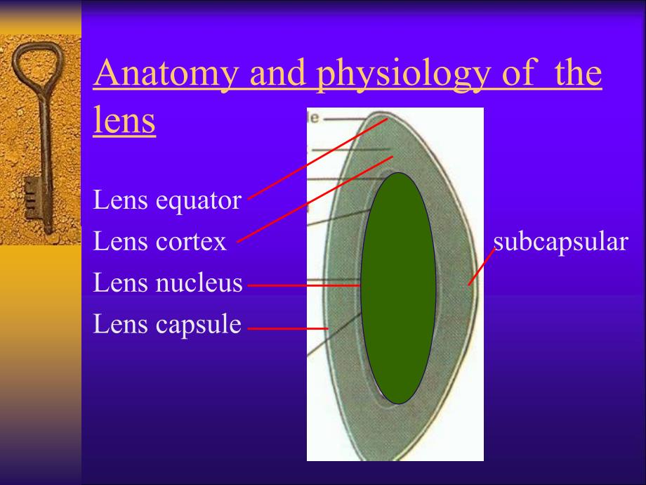 《眼科学晶体病医学》PPT课件.ppt_第4页