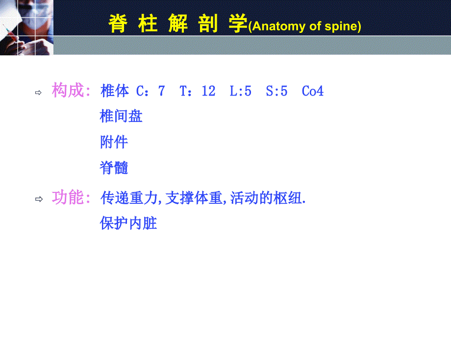 临床诊断学周蕾脊柱关节检查1_第2页