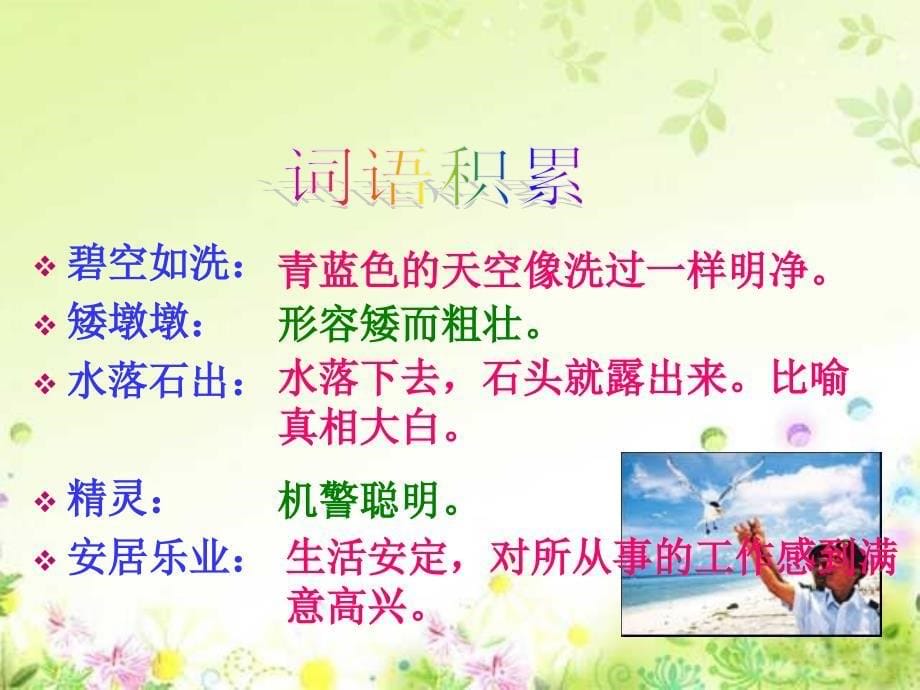 人教版小学语文六年级上册《彩色的翅膀》.ppt_第5页