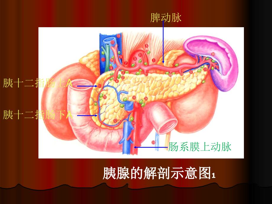 胰腺炎的治疗指南分析课件_第2页