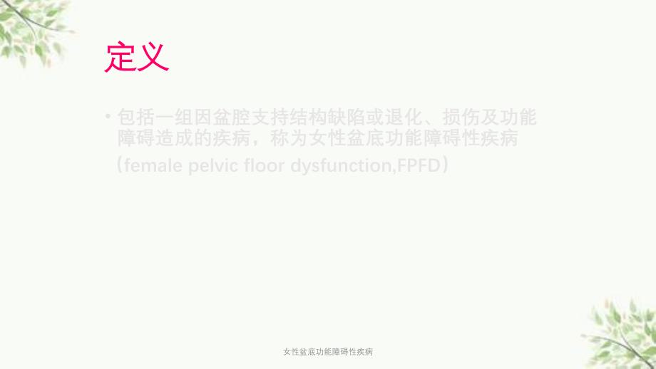 女性盆底功能障碍性疾病课件_第2页