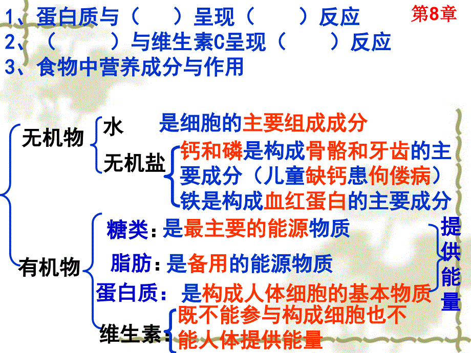 苏教版七年级下册生物复习（含102张）_第2页