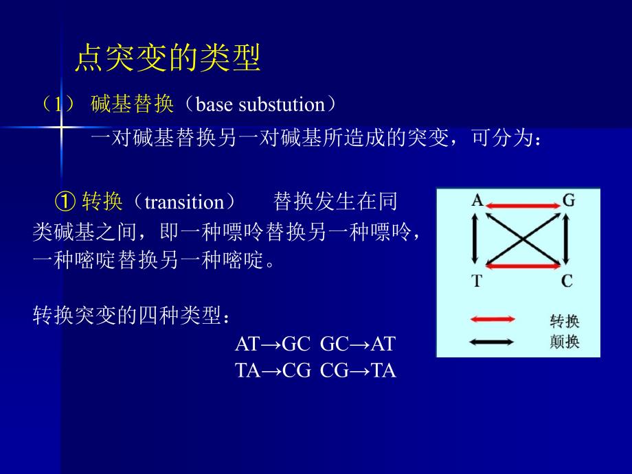 基因突变与DNA损失修复_第3页