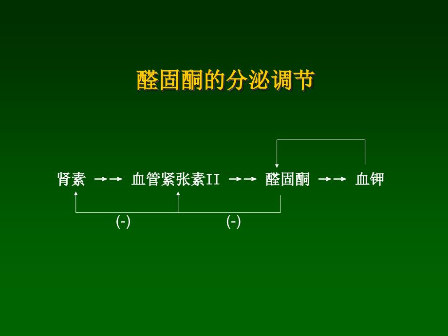 内分泌性高血压相关检查_第4页