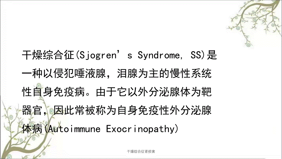 干燥综合征肾损害课件_第2页