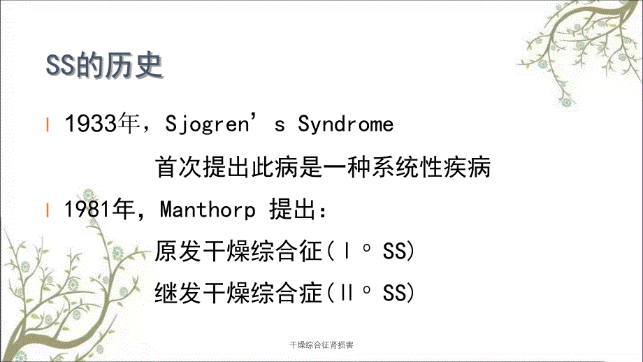 干燥综合征肾损害课件_第4页