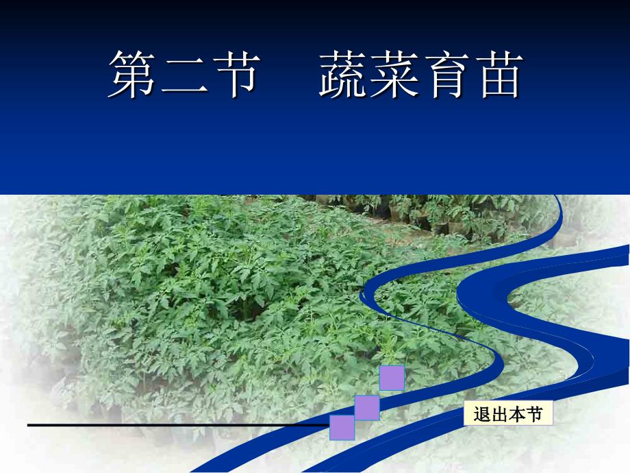 《蔬菜育苗》PPT课件_第1页