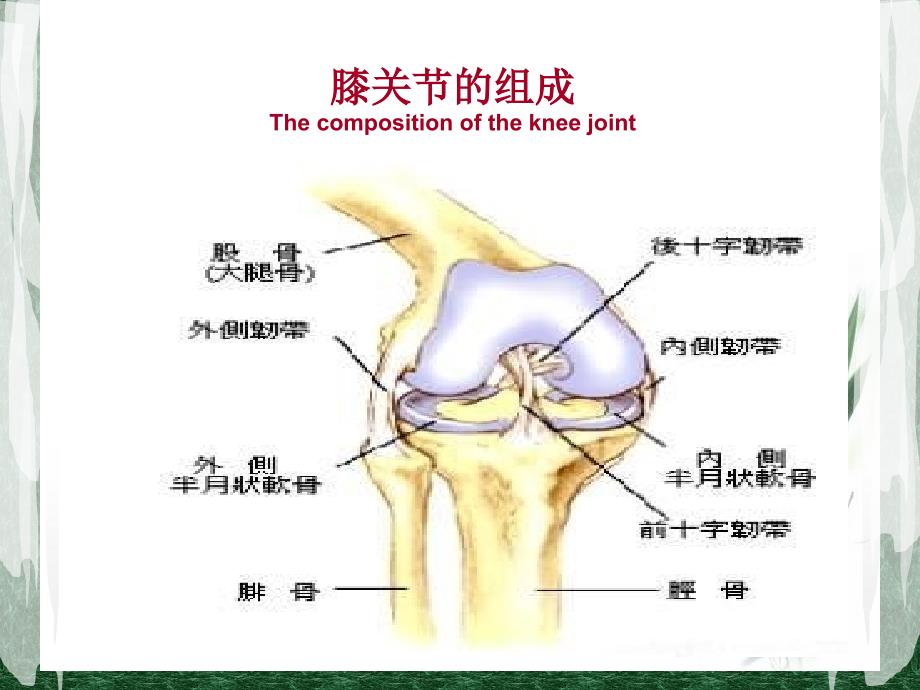 全膝关节置换术后护理_第2页