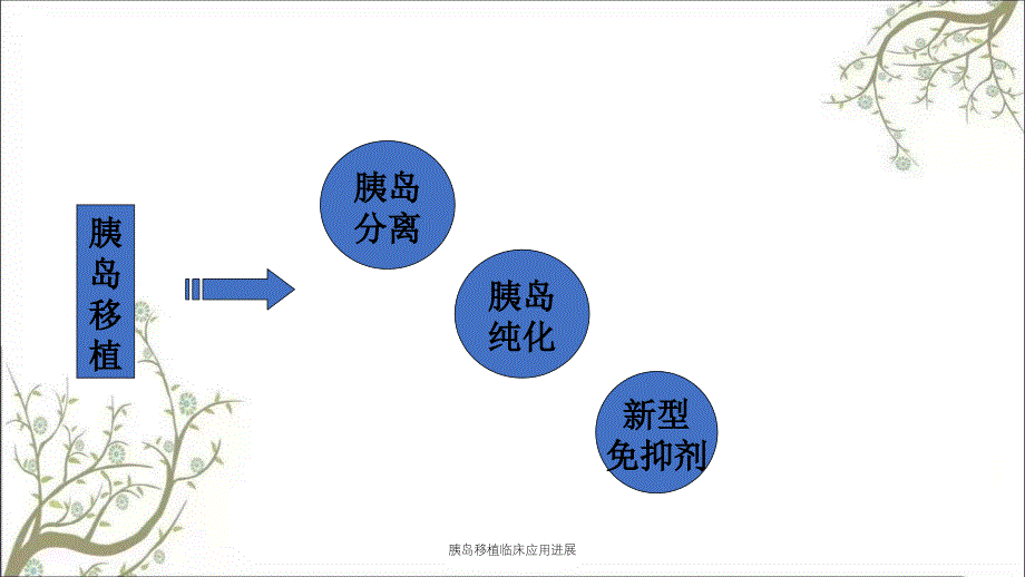 胰岛移植临床应用进展_第2页