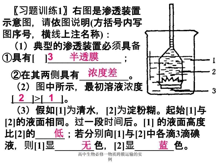 高中生物必修一物质跨膜运输的实例_第5页