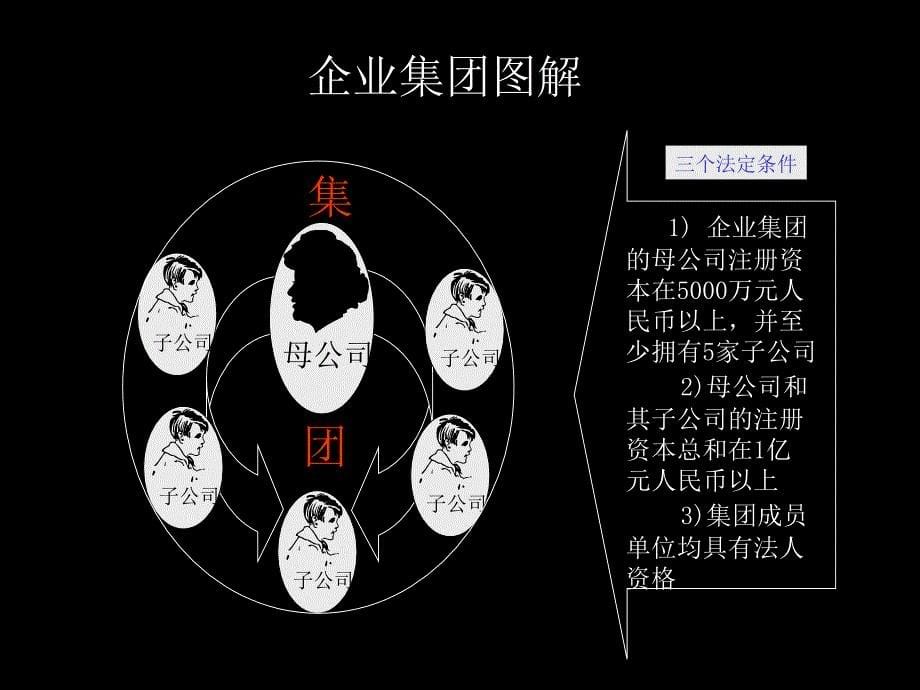 企业集团管理培训_第5页