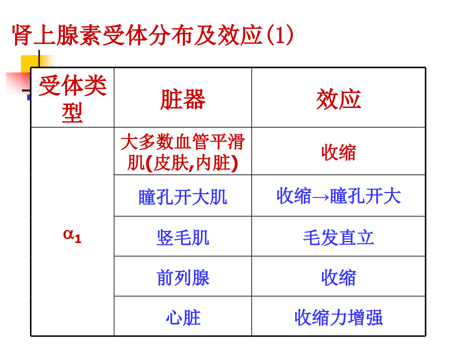 药理学课件：肾上腺素受体分布及效应_第1页