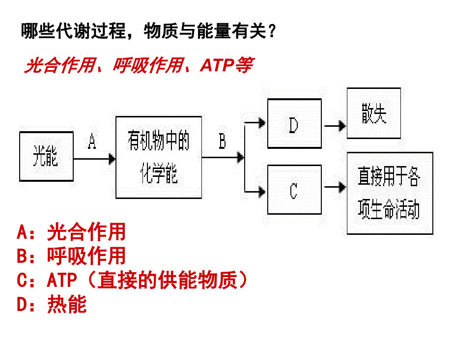 5.2生态系统的能量流动课件王玉_第3页