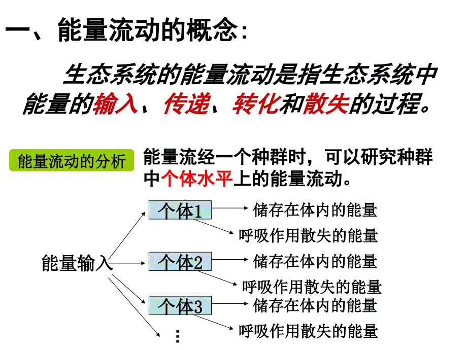 5.2生态系统的能量流动课件王玉_第4页