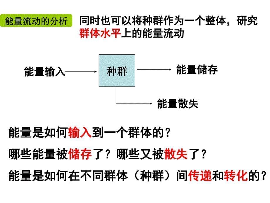 5.2生态系统的能量流动课件王玉_第5页