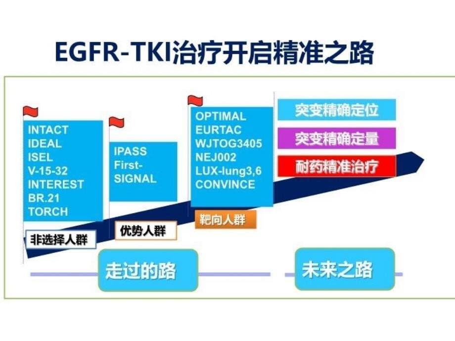 EGFR突变患者选择上课讲义_第5页