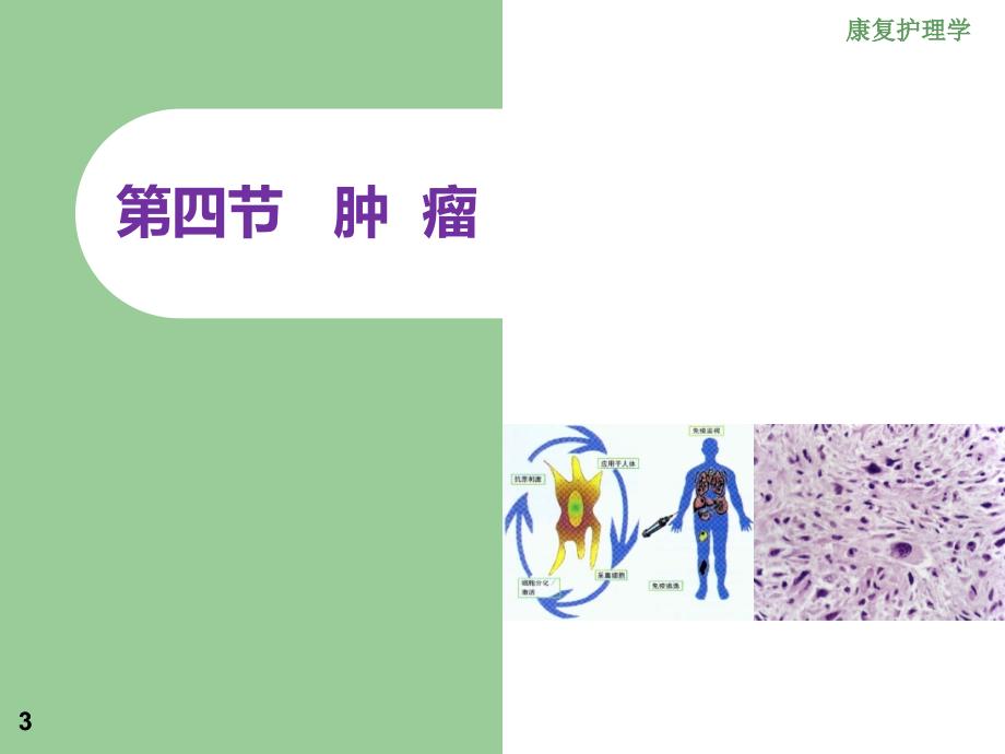 康复护理其他疾病患者康复护理肿瘤课件_第3页