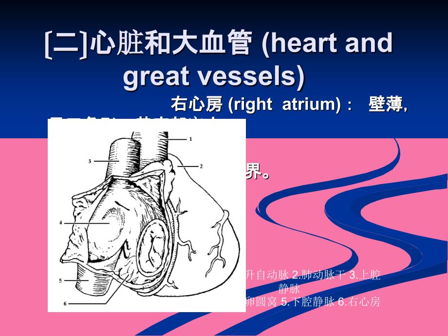 心脏彩超操作ppt课件_第4页