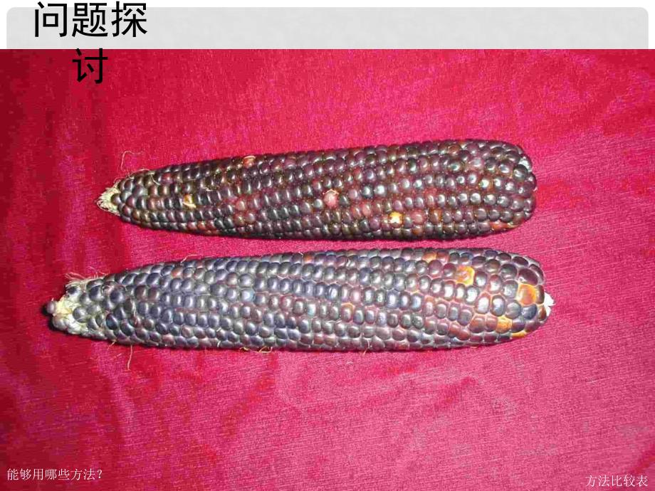 天津外院附校高考生物 第六章 第一节 杂交育种与诱变育种复习课件 新人教版必修2_第3页