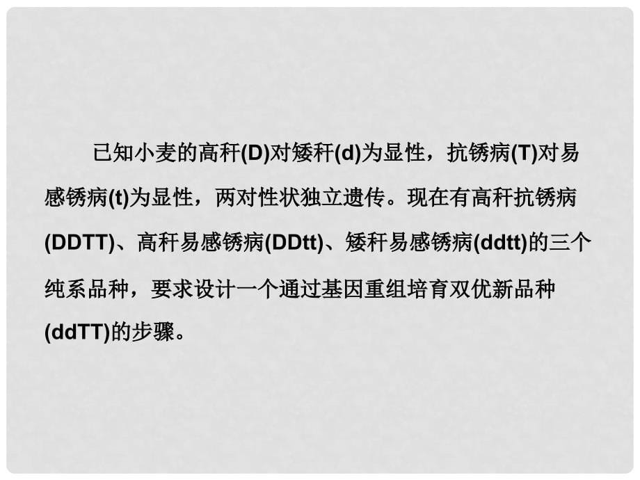 天津外院附校高考生物 第六章 第一节 杂交育种与诱变育种复习课件 新人教版必修2_第5页