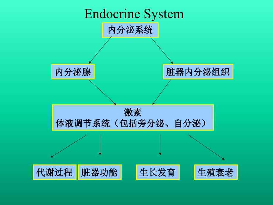 内分泌系统疾病总论介绍_第4页