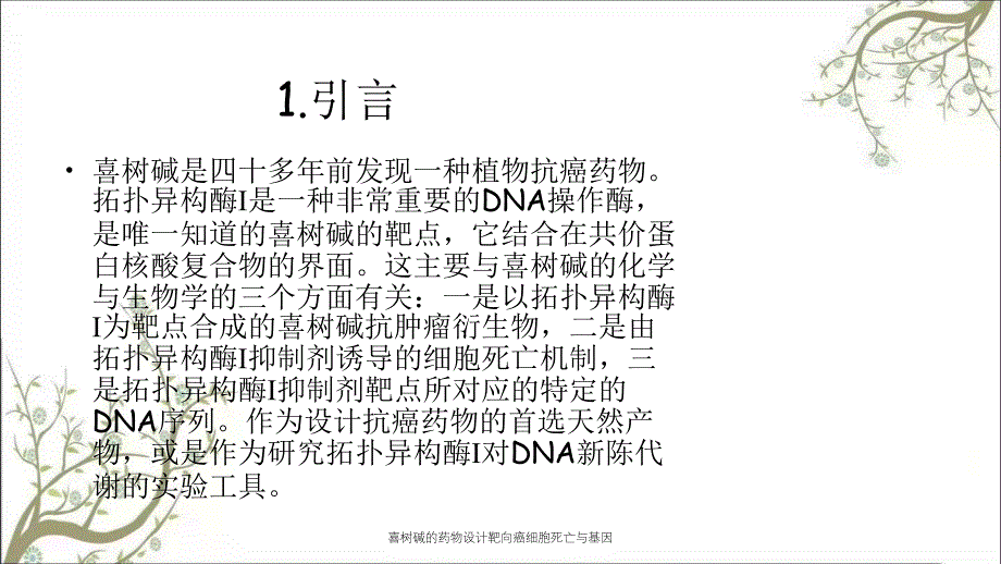 喜树碱的药物设计靶向癌细胞死亡与基因课件_第2页